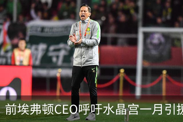 前埃弗顿CEO呼吁水晶宫一月引援，补强防线至关重要