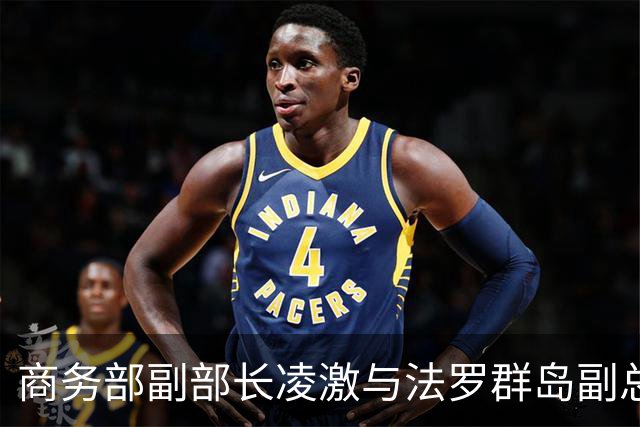 商务部副部长凌激与法罗群岛副总理尼尔森举行重要会谈